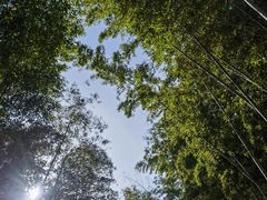 -千岛湖城中湖游船码头