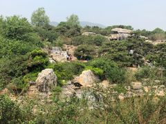 -北京西山国家森林公园