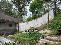 -碧峰峡风景区