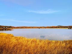 -塞罕坝国家级自然保护区