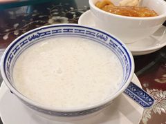 -大中鱼翅 Taitong Shark Fin