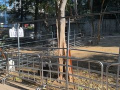-厦门悦华酒店