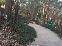 -赭山公园