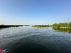 -白洋淀风景区
