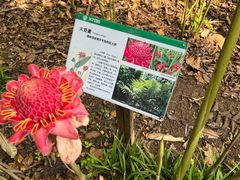-中国科学院西双版纳热带植物园