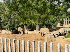 -沈阳森林动物园