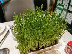 -海底捞火锅(国奥村店)