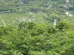 -狼山风景名胜区