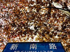 -如家精选酒店(成都春熙路四川大学华西店)