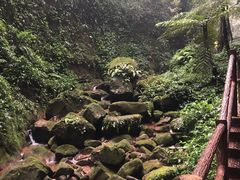 -赤水丹霞旅游区·佛光岩