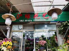 -曲阳花鸟市场(曲阳路店)