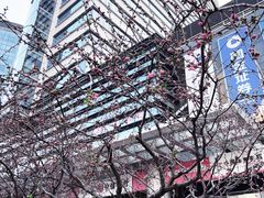 -凯德MALL(望京店)