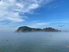 -海驴岛(荣成市)