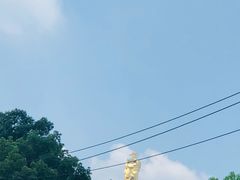 -重庆海昌加勒比海水世界