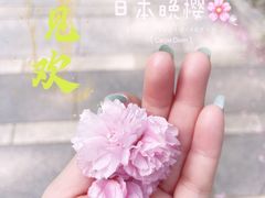 -仰山公园