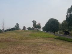 -白鹭湾湿地公园