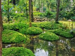 -成都市活水公园
