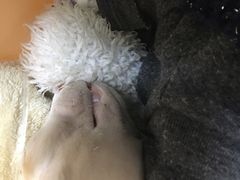 -美联众合动物医院·24h京西诊疗中心