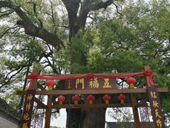 -新安江山水画廊风景区