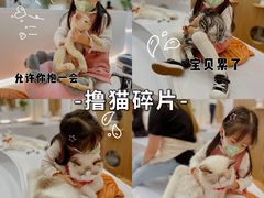 -COLOR PETS 撸猫馆·购猫·猫咖(长风大悦城店)