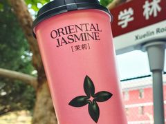 -茉莉奶白(天水秦州万达广场店)