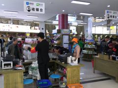 -霍尔果斯国门景区