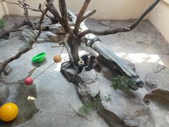 -宁波野生动物园