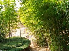 -石老人观光园