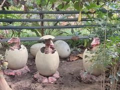 -呀路古热带植物园