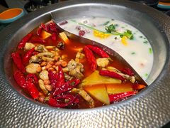 -麻田会 ·鲜活现烹·牛蛙火锅(珠江新城维家思广场店)