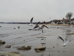 -老虎石海上公园