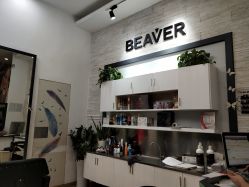 -798·beaver海狸荟