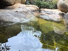 -七彩云南古滇温泉山庄