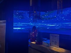 -鸿韵养生(白玉兰店)