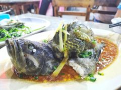 石斑鱼清蒸-四川小胡子海鲜(丁村万人海鲜广场店)