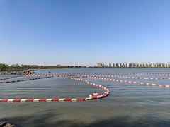 -天津东丽湖风景区