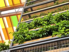 -中国天府农业博览园