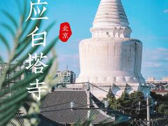 -妙应寺白塔