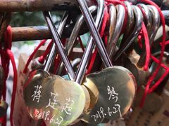-小天鹅火锅·一线江景洪鼎旗舰店(洪崖洞店)