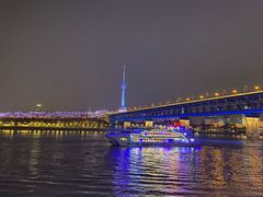 -武汉两江游览·夜游长江(汉口粤汉码头)