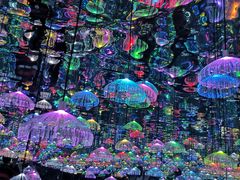 -天津梵高星空艺术馆(天河城旗舰店)