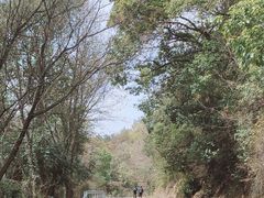 -苏州上方山国家森林公园