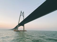 -招商蛇口邮轮母港(观光客运)