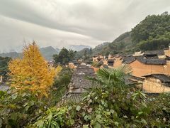 -杨家堂村