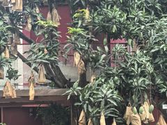 -孔雀湖生态旅游区