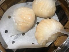 -糖朝(尖沙咀店)