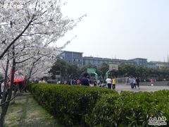 -同济大学四平路校区游泳馆