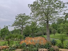 -东莞植物园