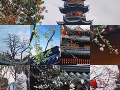-龙华寺