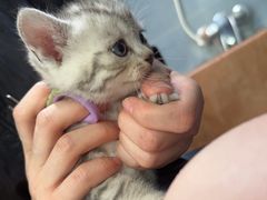 -太原东方动物医院(小店分院)